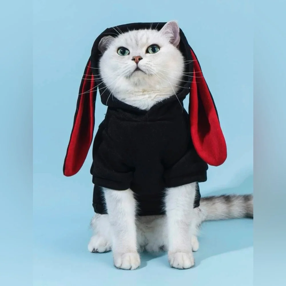 Pet Hoodie XL - Picture 1 of 5